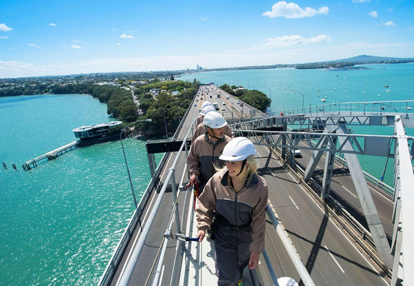 Climb the Auckland Harbour Bridge for One Person