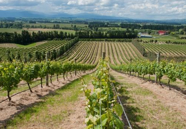 $199 for a Martinborough Wine Tour for Two People incl. Three Tastings, Lunch, Chauffeur Driven Quality Vehicles, Railway & Accommodation Pick-Up & Drop Off (value up to $500)