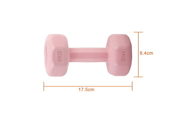 Two-Piece Dumbbells Set - Two Options Available