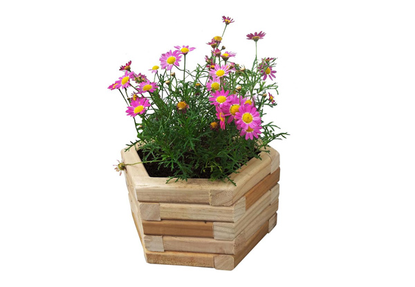 From $31.50 for a Hexagon Planter Box – Four Sizes Avaialble