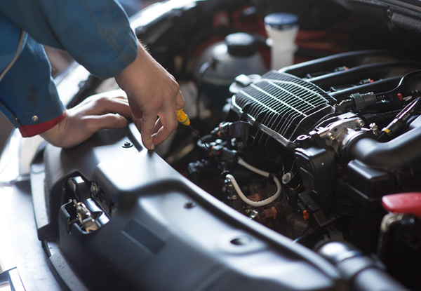 Oil & Filter Change incl. a WOF Package for Standard Four - Cylinder Vehicles