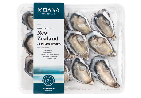 Premium Export Quality Seafood Pack incl. Frozen Tarakihi Fillet, ½ Shell Oyster Tray Pack & Snapper Fillet