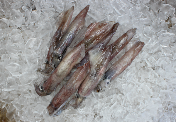 1kg of Small Frozen Calamari - North Island Delivery