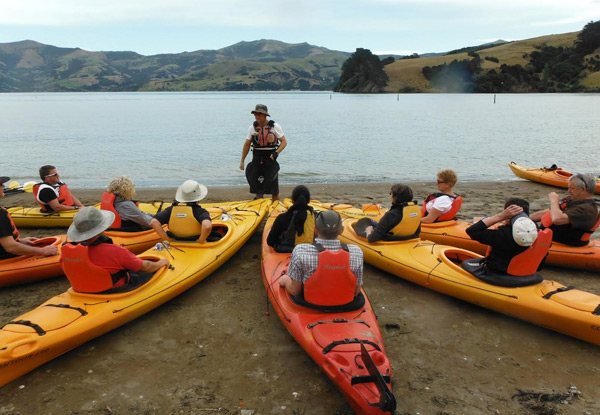 Three-Hour Guided Kayak Crater Cruiser Safari for One-Person