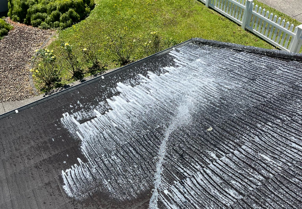 Single-Storey House Maintenance - Options for Internal & External Window Clean, Gutter Clean, or Full House Wash Maintenance Package for up to Five-Bedroom Homes