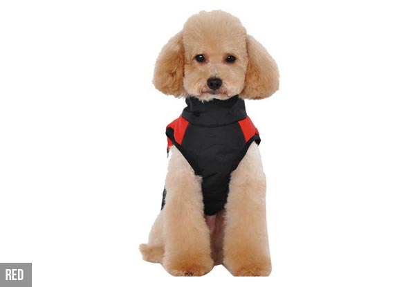 Water-Resistant Dog Jacket - Four Colours & Seven Sizes Available