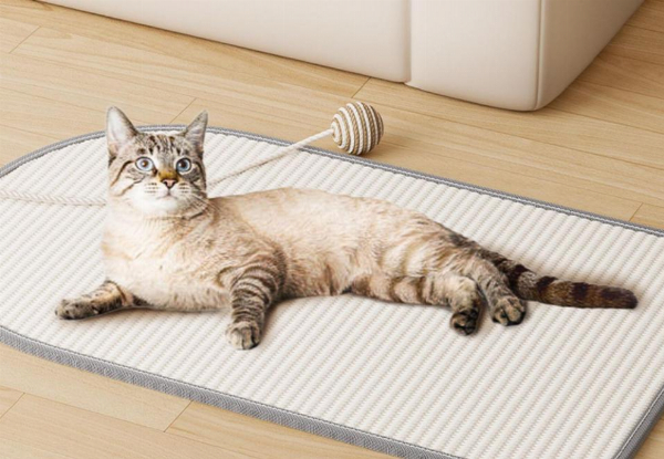 Anti-Cat Scratch Sofa Protection Pad - Two Colours Available