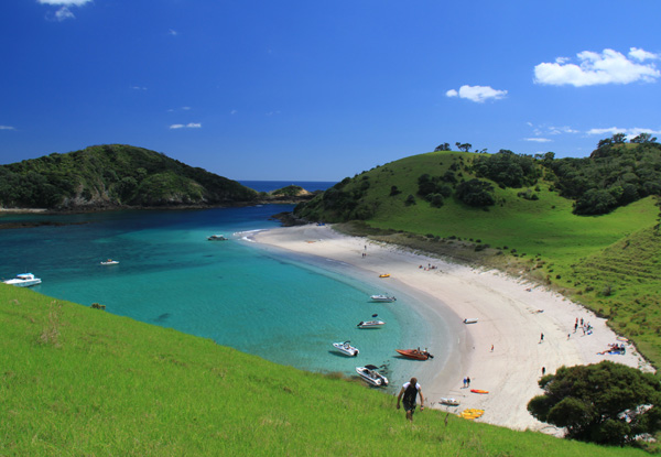 Bay of Islands Day Cruise for Two incl. Lunch & Island Stopover - Options for Adult Pass, Family Pass or a Full Private Boat Charter