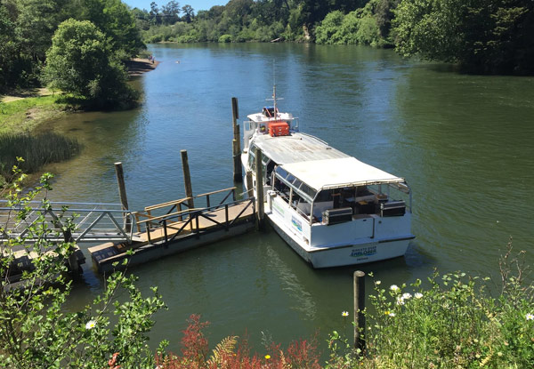 $44.50 for a Family River Cruise or $69 for a Three-Hour Deluxe Cruise for Two incl. Lunch (value up to $138)