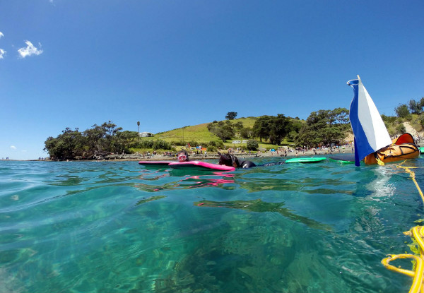 Guided Snorkel Experience at Goat Island Marine Reserve for One Person - Option for Two People