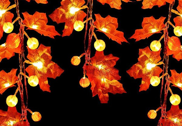 LED Maple Leaf Jack-O-Lantern String - Two Sizes Available
