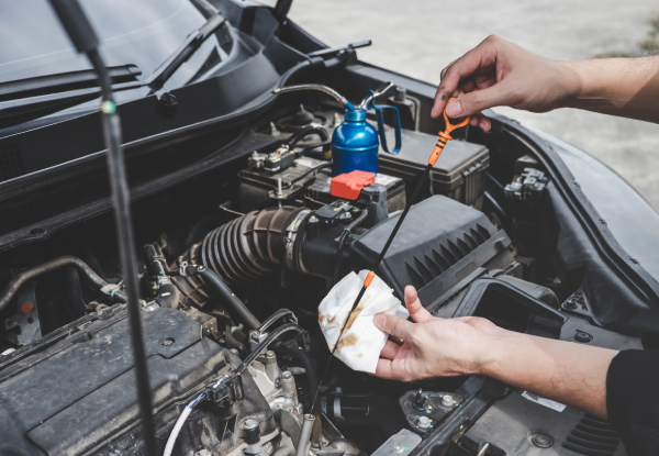 Comprehensive Car Service incl. Oil & Filter Change, Fluid Top-Ups & Safety Checks