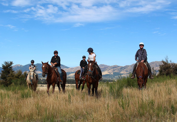 $35 for a One-Hour Horse Trek in Hanmer Springs (value up to $70)