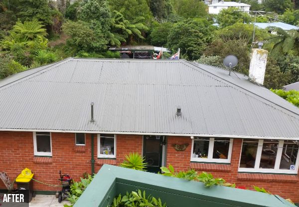 Roof Painting for up to a 100m² Roof incl. Moss & Mould Treatment, Wash, Two Coat Self Priming System & Top Coating System - Options up to Between a 121 - 180m² Roof