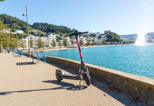 50% Off Flamingo Scooters Credit - Options for $40 to $200 Credit