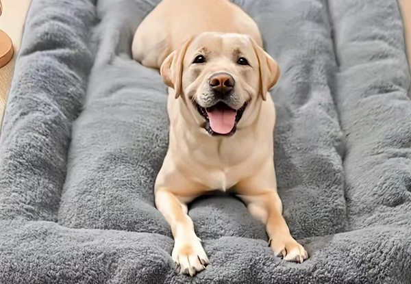 Comfortable Pet Dog Bed Mat - Available in Two Sizes