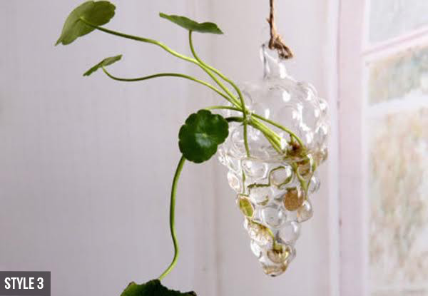 Hanging Glass Water Plant Pot - Five Styles Available