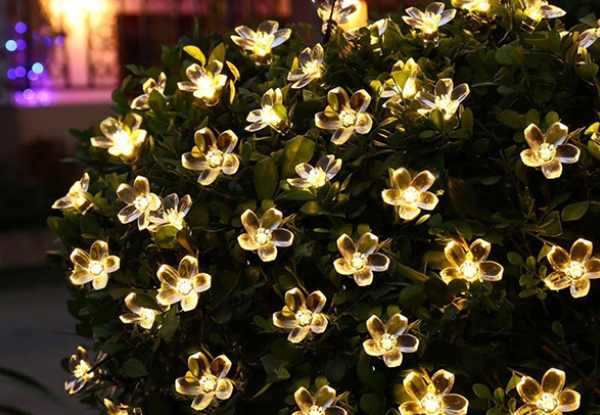 Solar Outdoor Blossom Lights - Two Colours Available & Option for Two