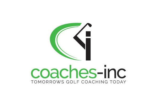30-Minute Adult or Junior Golf Lesson with a PGA Qualified Golf Professional - Options for 45-minutes & 60-Minutes Lesson for up to Three People Available
