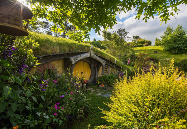 Hobbiton Movie Set Pass with Small Guided Return Tour From Auckland for One Adult - Options for up to Six Adults or Youth, Child or Infant Pass
