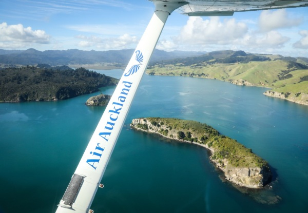 Coromandel Lunch with Return Scenic Flight for Two People, Departing from Auckland - Options for up to Six People