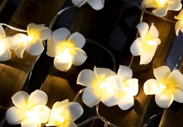 Frangipani Flower String Lights - Option for Two with Free Delivery