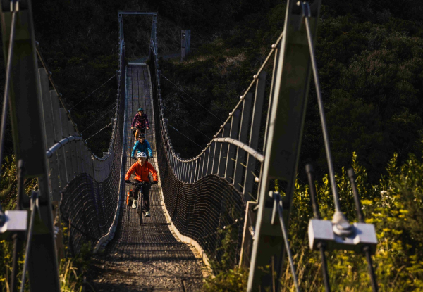 Four-Hour Mountain Bike Hire at Wildfinder Kaitoke