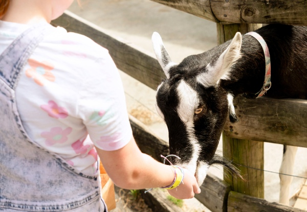 One Adult Day Pass to Butterfly Creek - Options for Child Day Pass