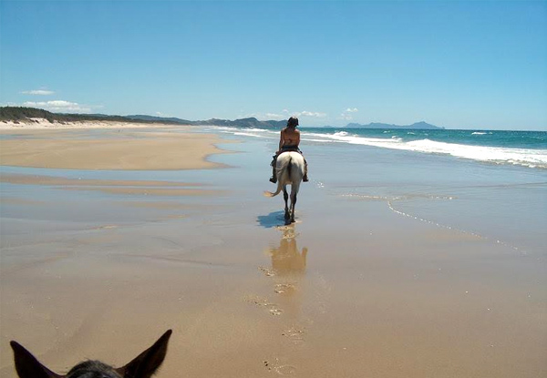 One-Hour Scenic Horse Trek Along Pakiri Beach- Option for Two People