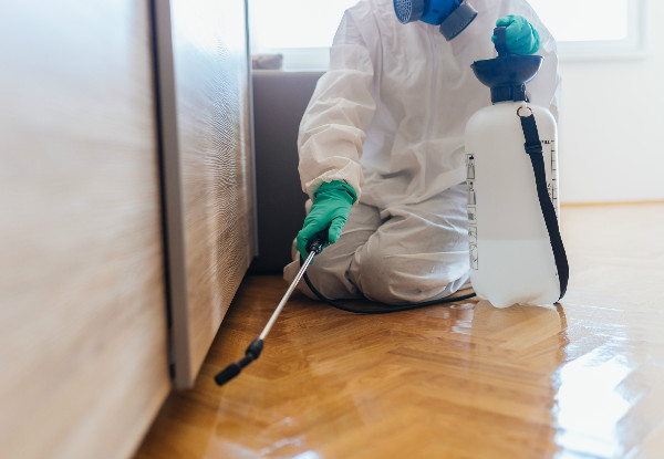 Interior & Exterior Pest Control Service for a One-Bedroom House - Options for up to a Five-Bedroom House