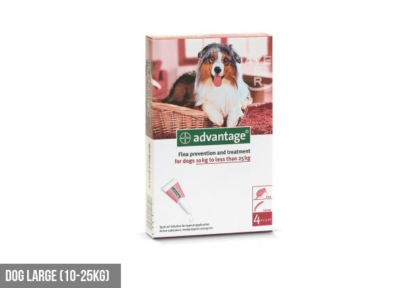 12 Tubes of Advantage Flea Treatment - Various Cat Treatment & Dog Treatment Options Available