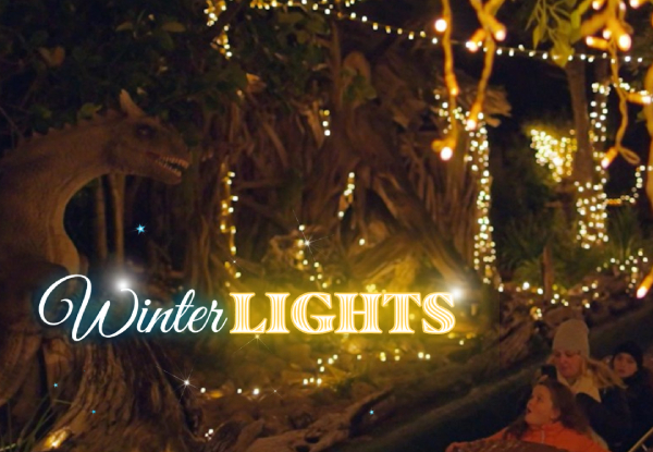 Rainbow's End Winter Lights Twilight Rides Pass - Option for Family Pass & to Add-On Gem Panning Experience -  Valid Tuesday to Friday for Select Dates