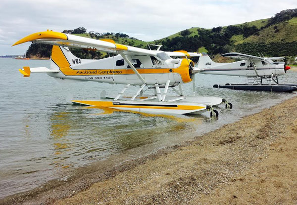 Rangitoto & City Scenic Flight for One Person - Option to incl. a Three-Course Fine Dining Experience