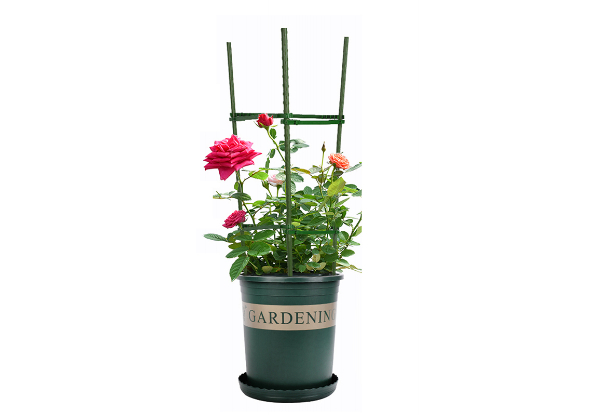 Plant Climbing Trellis Cage - Available in Two Options