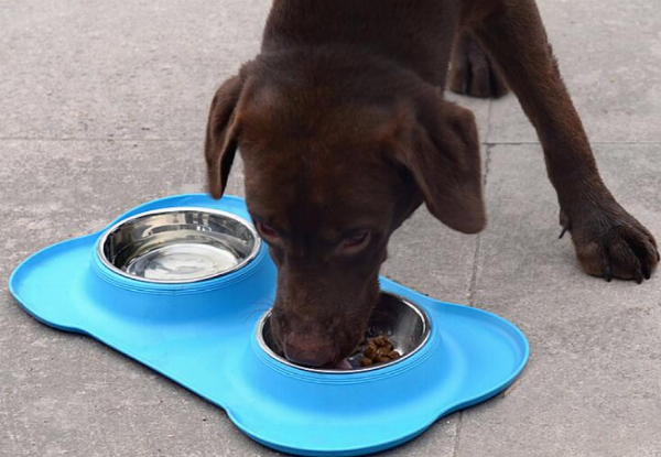 Water Food Bowl with Silicone Plate - Three Colours Available