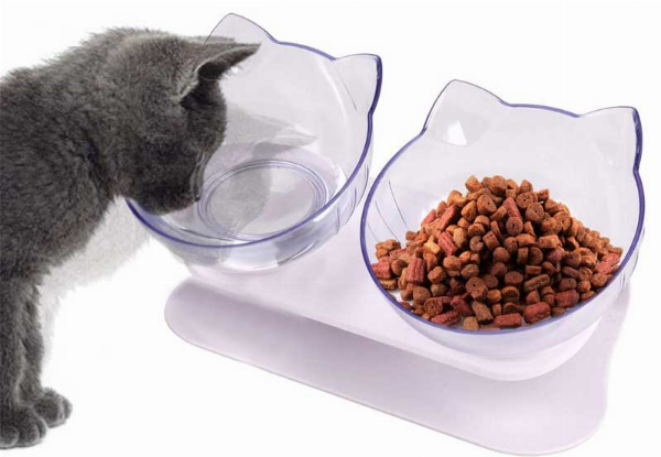 Double Elevated Tilted Cat Bowls with Raised Stand - Five Options Available