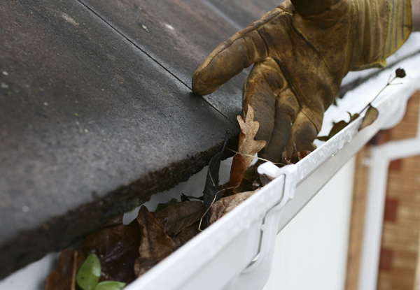 $89 for a Single Storey Gutter Clean with a Roof & Chimney Inspection or $99 for a Double Storey