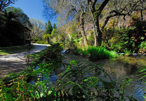 Adult Entry to The Buried Village incl. Award-Winning Museum, Archaeological Sites & Te Wairoa Waterfall - Options for Teens & Family Entry