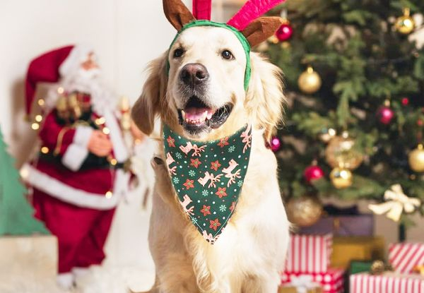 Two-Pack Pet Christmas Bandana - Five Styles Available