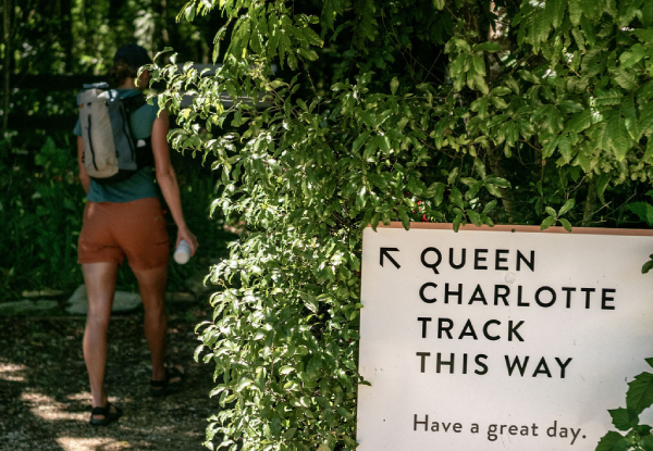 Queen Charlotte Track Day Walk with Cougar Line Cruise Transfers - Walk Furneaux Lodge to Punga Cove Resort - Options for Adult or Child