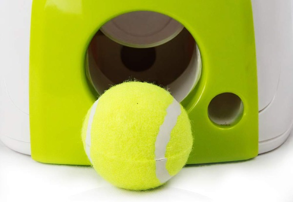 Tennis Ball Machine for Dogs