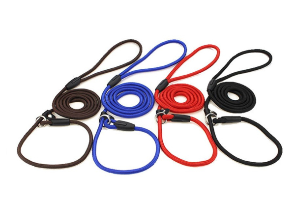 Dog Slip Lead - Four Colours Available & Option for Two