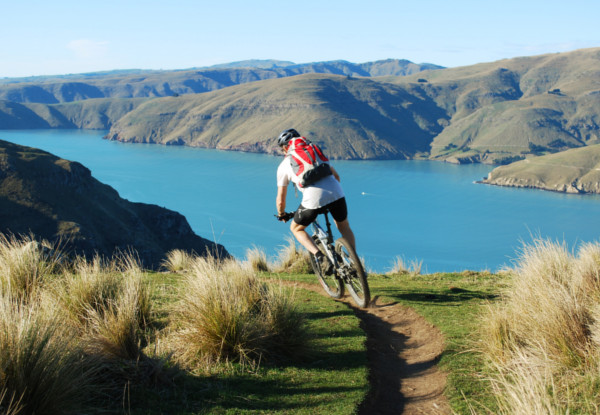 Per-Person 16 Day Epic NZ Dreamer MTB Tour – North & South Island incl. Accomodation, Guides, Activities & More