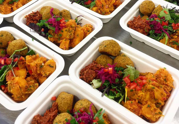 Six Pre-Made Vegan or Paleo Meals incl. Delivery to Wider Auckland Area