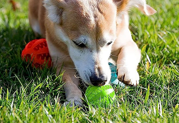 Three-Piece Dog Chew Ball Toy Set - Available in Three Sizes & Option for Two Sets