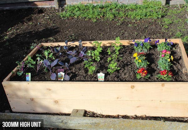 Macrocarpa Raised Garden Bed - Four Sizes Available