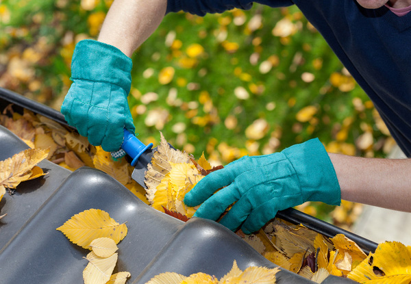 Single Storey Spouting, Gutter & External Window Clean - Options for up to Five-Bedrooms