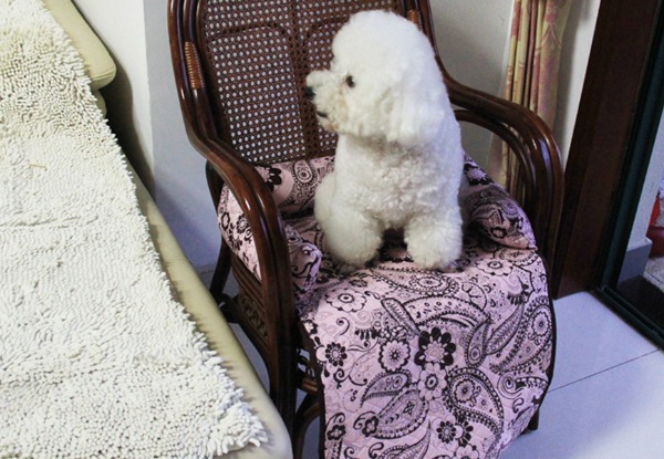 Pet Bed Seat Cover - Two Colours & Four Sizes Available with Free Delivery