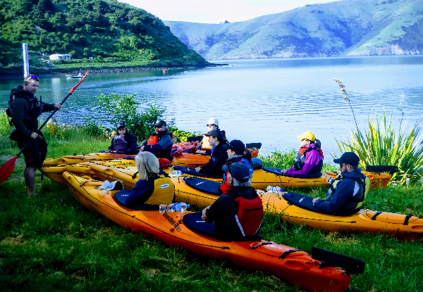 2.5 hour Guided Sea Kayaking Tour in Akaroa for One Person