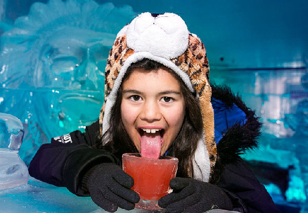 One Adult Ice Bar Entry incl. a Cocktail or Mocktail - Option for a Family Entry